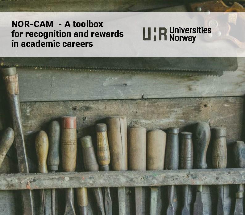 Front page of the report, illustrated by tools hanging on a shed wall - Click for large image